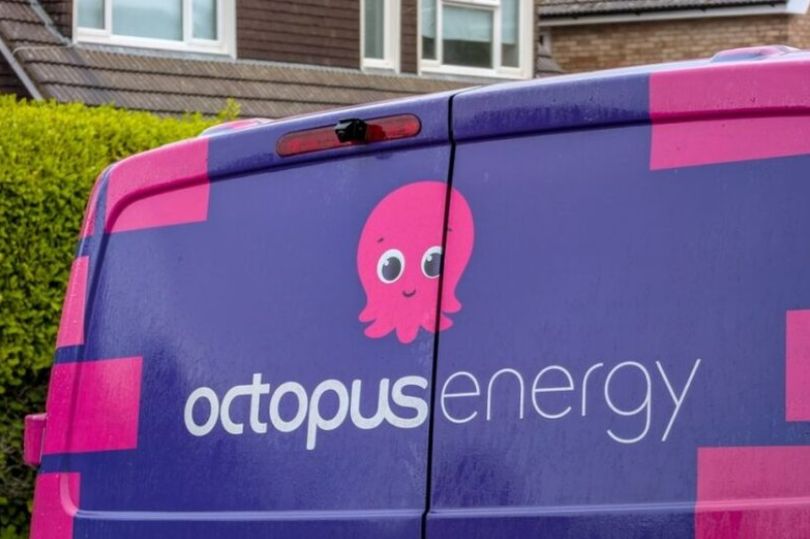 Octopus Energy confirms £730 a year saving for certain households