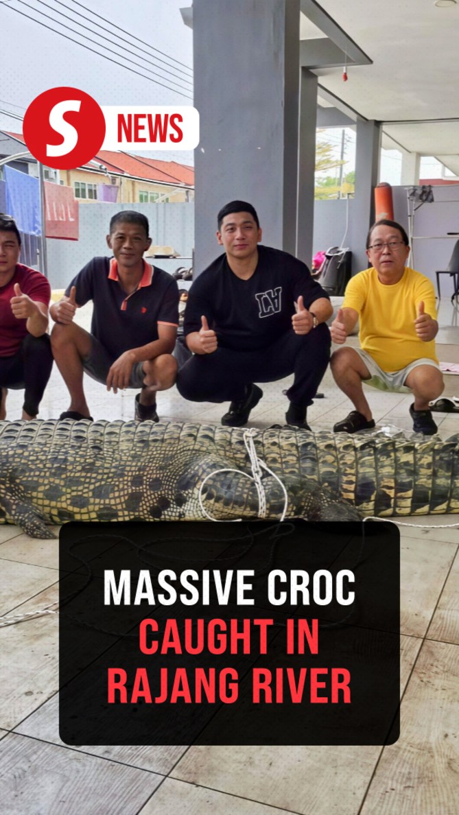 Croc hunter catches 400kg beast, larger one still lurking in Rajang River