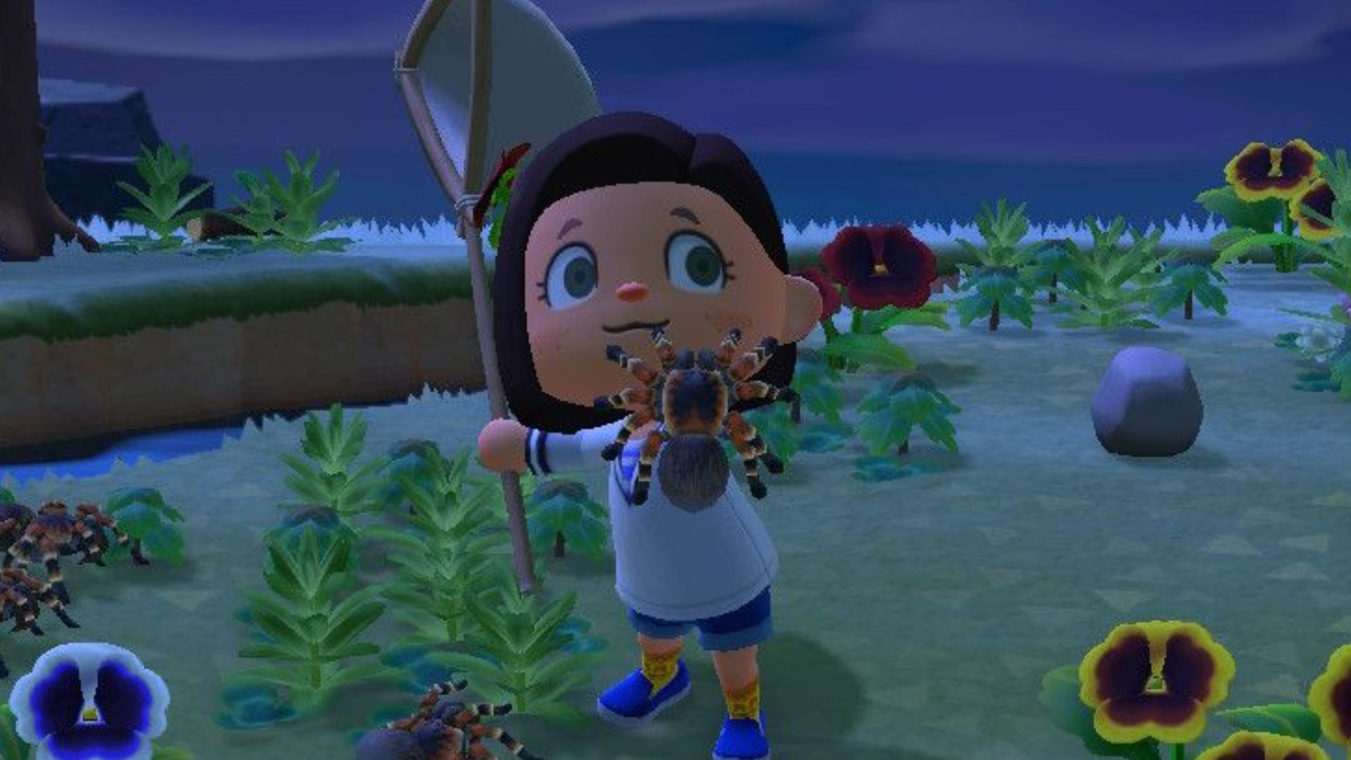 Guide Animal Crossing New Horizons : La liste complète des insectes d ...