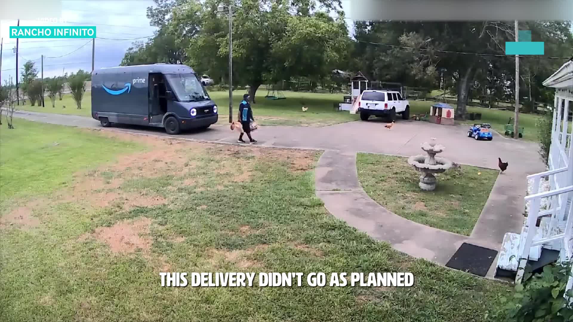 Amazon driver caught on CCTV being escorted out of Texas farm
