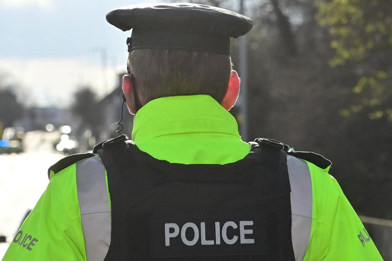 Police issue appeal after Mercedes is damaged in hit-and-run incident