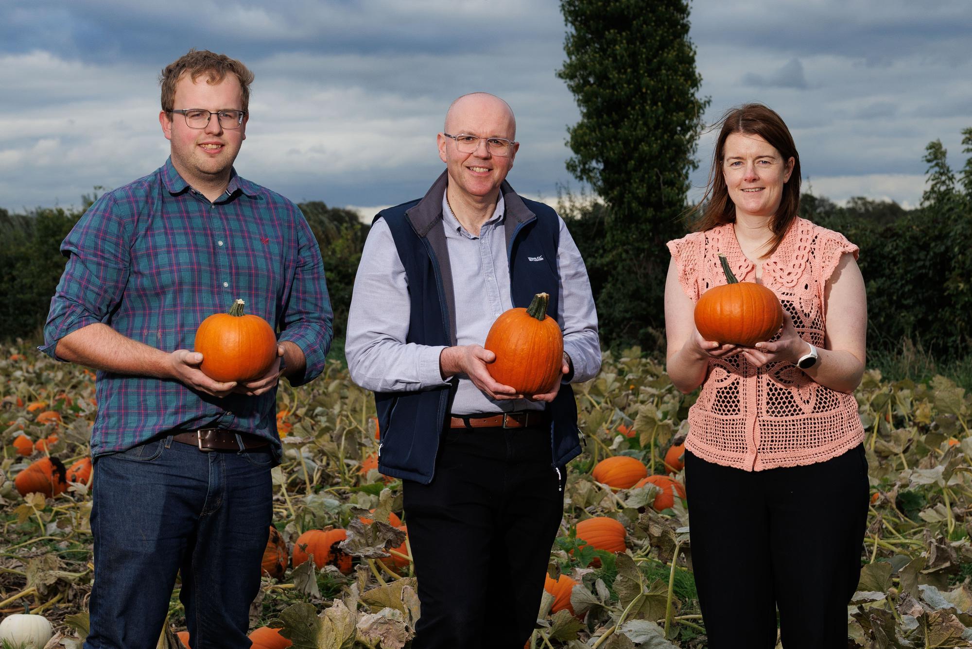 Tesco brings Northern Ireland-grown pumpkins to stores for the first ...