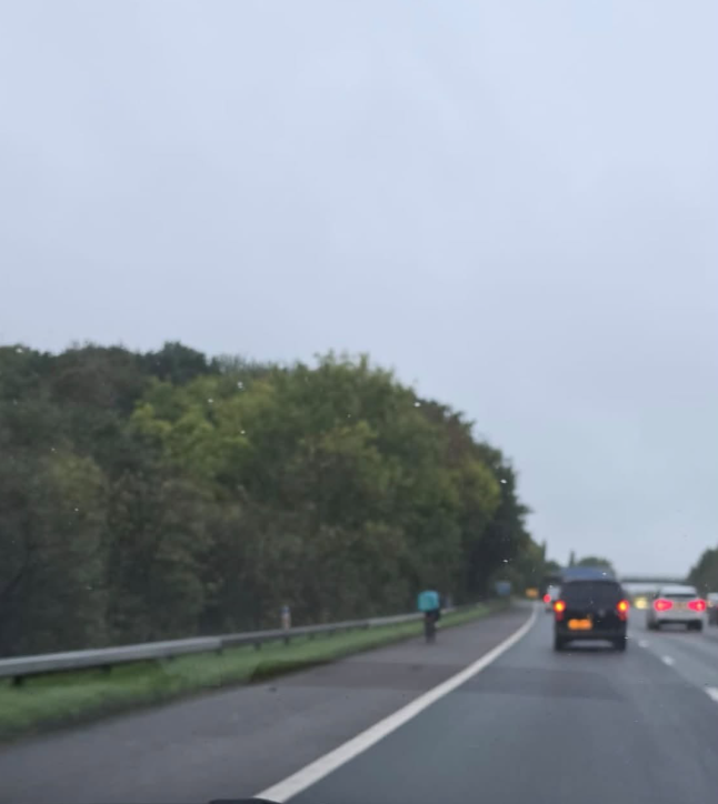 Deliveroo rider spotted 'casually peddling' along M6 hard shoulder in ...