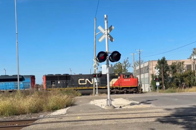 4-year-old girl dies after being hit by train. Mother and sister, who ...