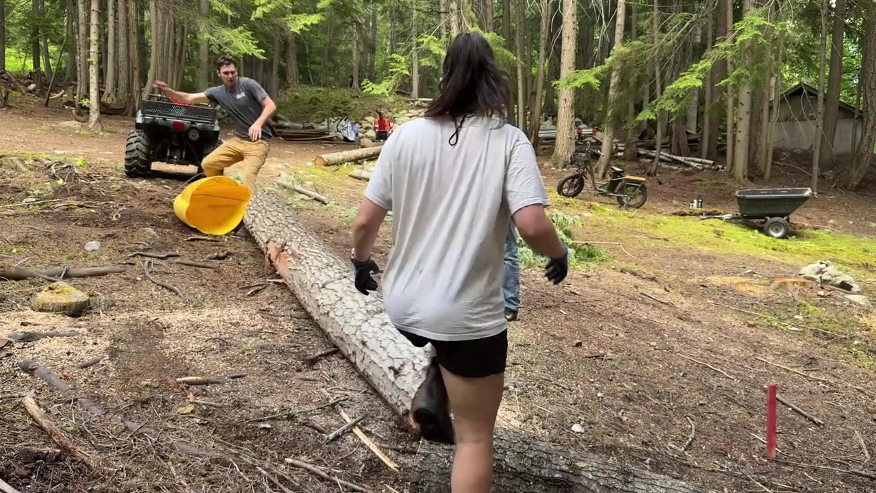 They needed to clear one small area of their 15-acre forest… then came ...