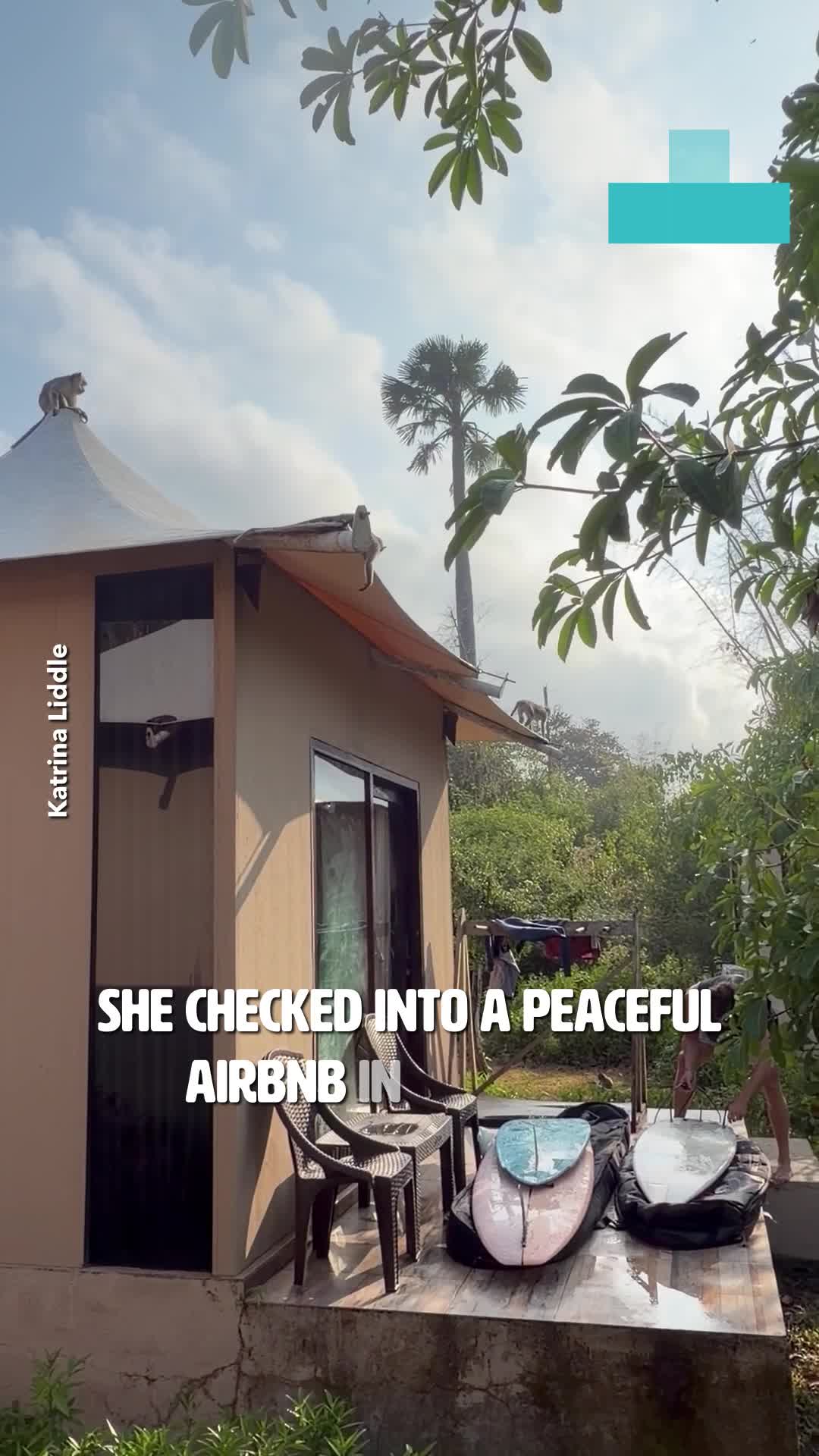 Airbnb guest’s relaxing stay takes chaotic turn