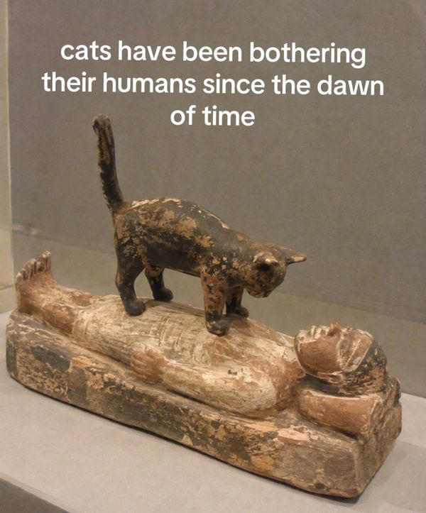 Images allegedly show ancient Egyptian sculptures with cats ignoring ...