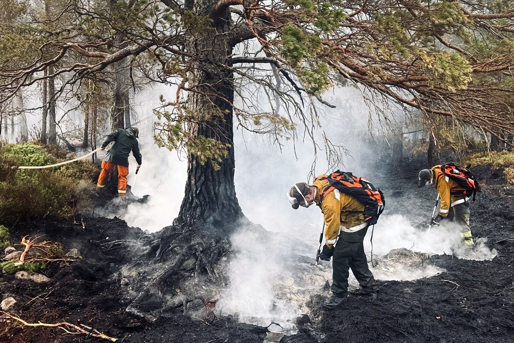 South Downs joins other national parks to agree new action on wildfire risk