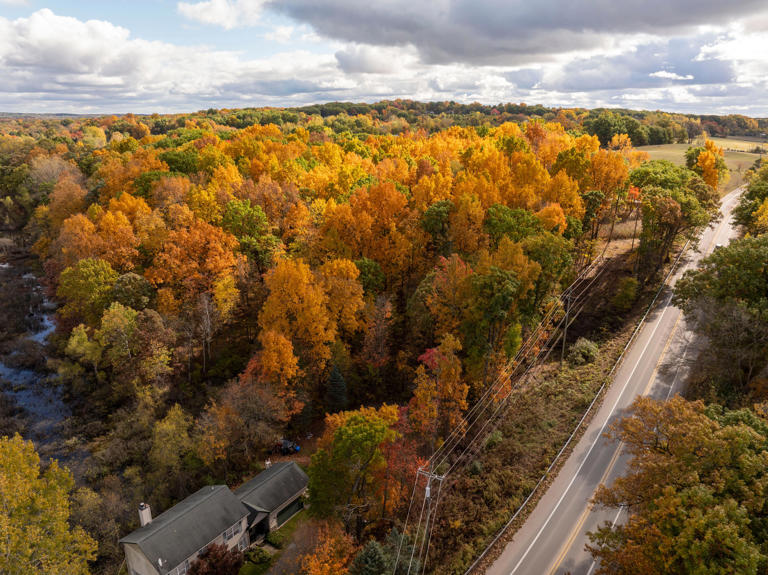 Where can you see Michigan's fall colors? Map, forecast, peak times