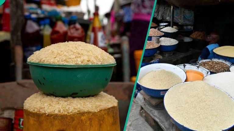 Find out more as rice prices crash as dealers announce new cost for ...