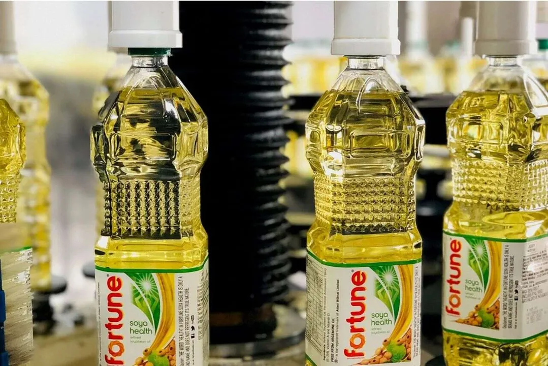 Can AWL's food & FMCG expansion create a more diversified and resilient ...