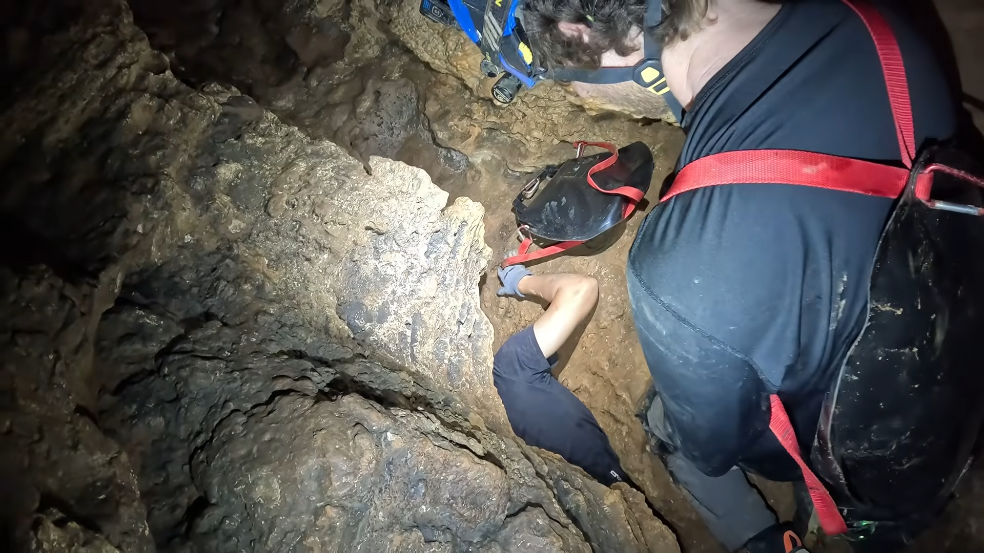 A lost dog entered the cave and never returned - then they found the ...