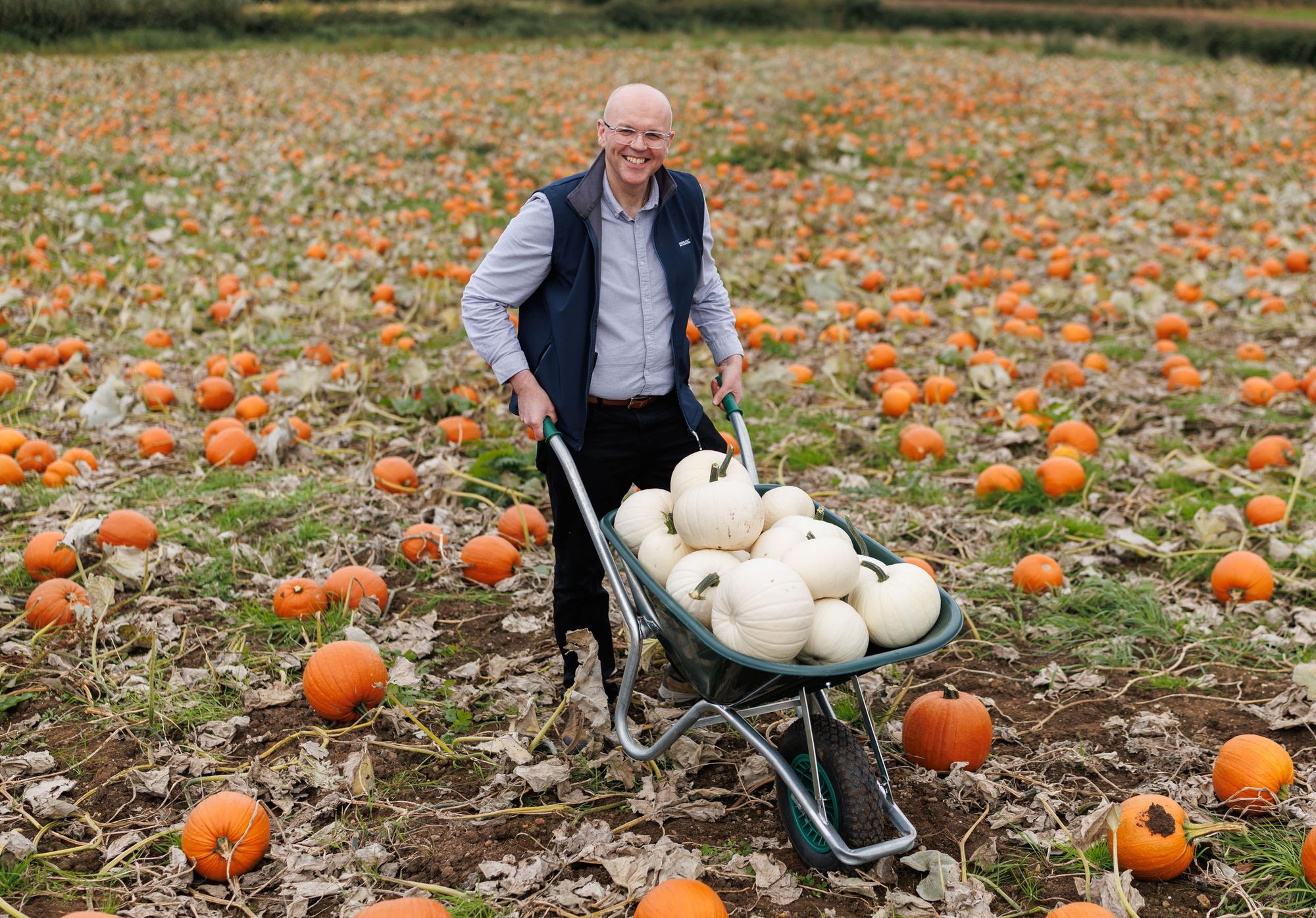 Tesco brings Northern Ireland-grown pumpkins to stores for the first ...
