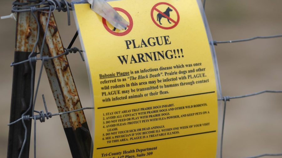 Plague in Russia sparks concern, COVID-19 pandemic memories: 5 things ...