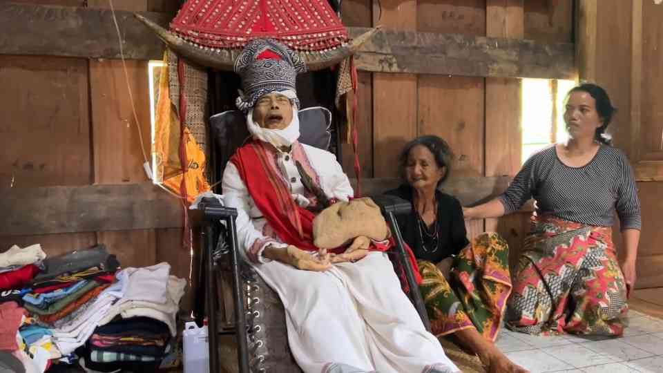 The meaning of pig offerings in Toraja funeral traditions