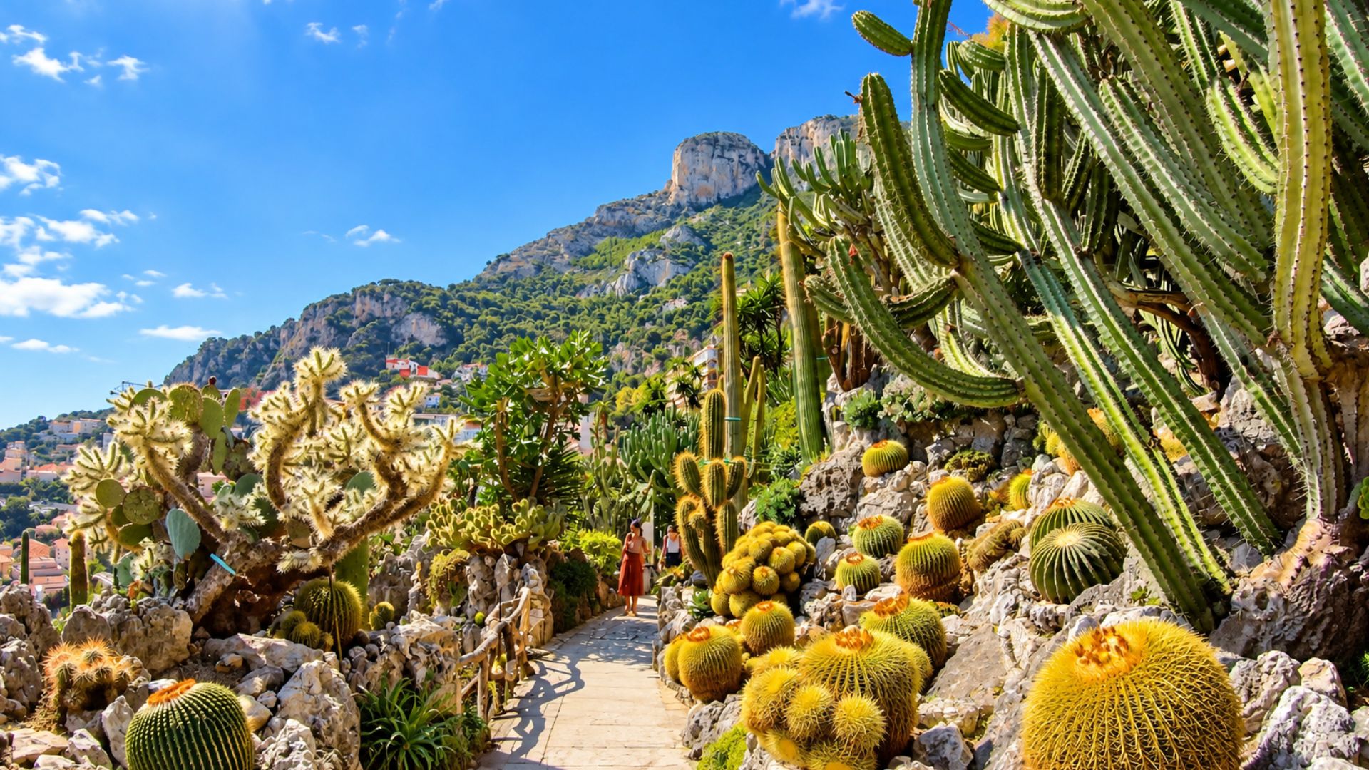 A scenic walk inside Monaco’s Jardin Exotique (4K)