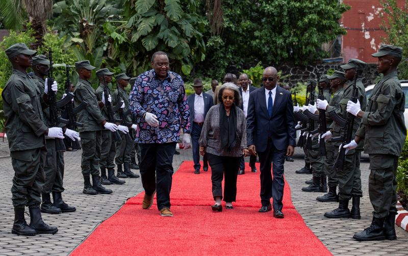 African Union delegation meets Congo rebels, calls for continued peace ...