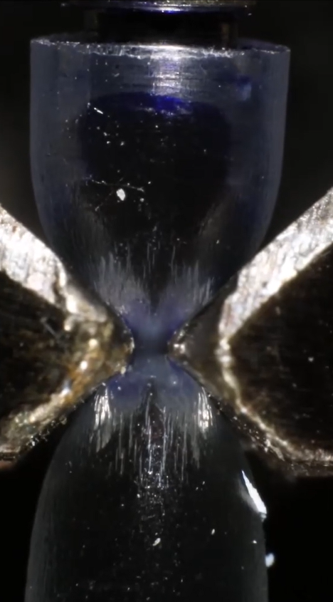 The hidden beauty of everyday objects in macro view