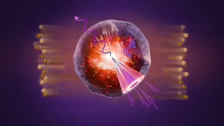 Scientists smashed gold nuclei together and found something they weren ...