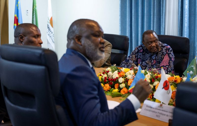 African Union delegation meets Congo rebels, calls for continued peace ...