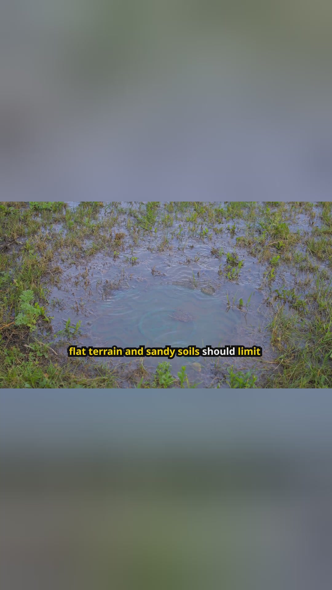 Florida rainfall adds flood risk as 2 to 5 inches could fall