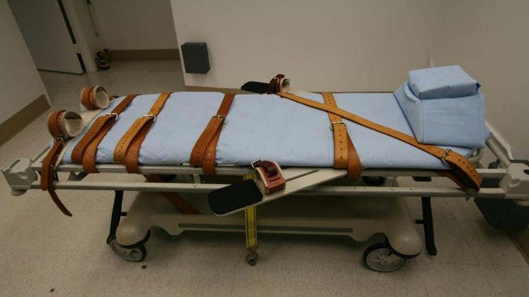 'No IV is inserted': Tennessee execution training change under scrutiny ...
