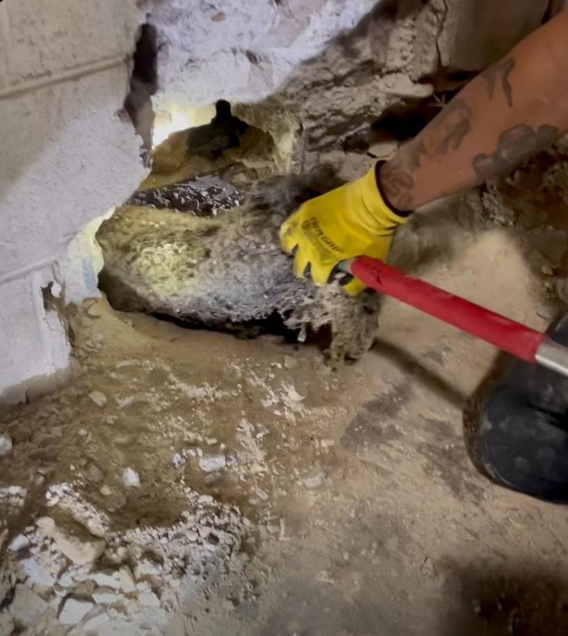 Watch: Dog rescued from drainage pipe under Tennessee Goodwill