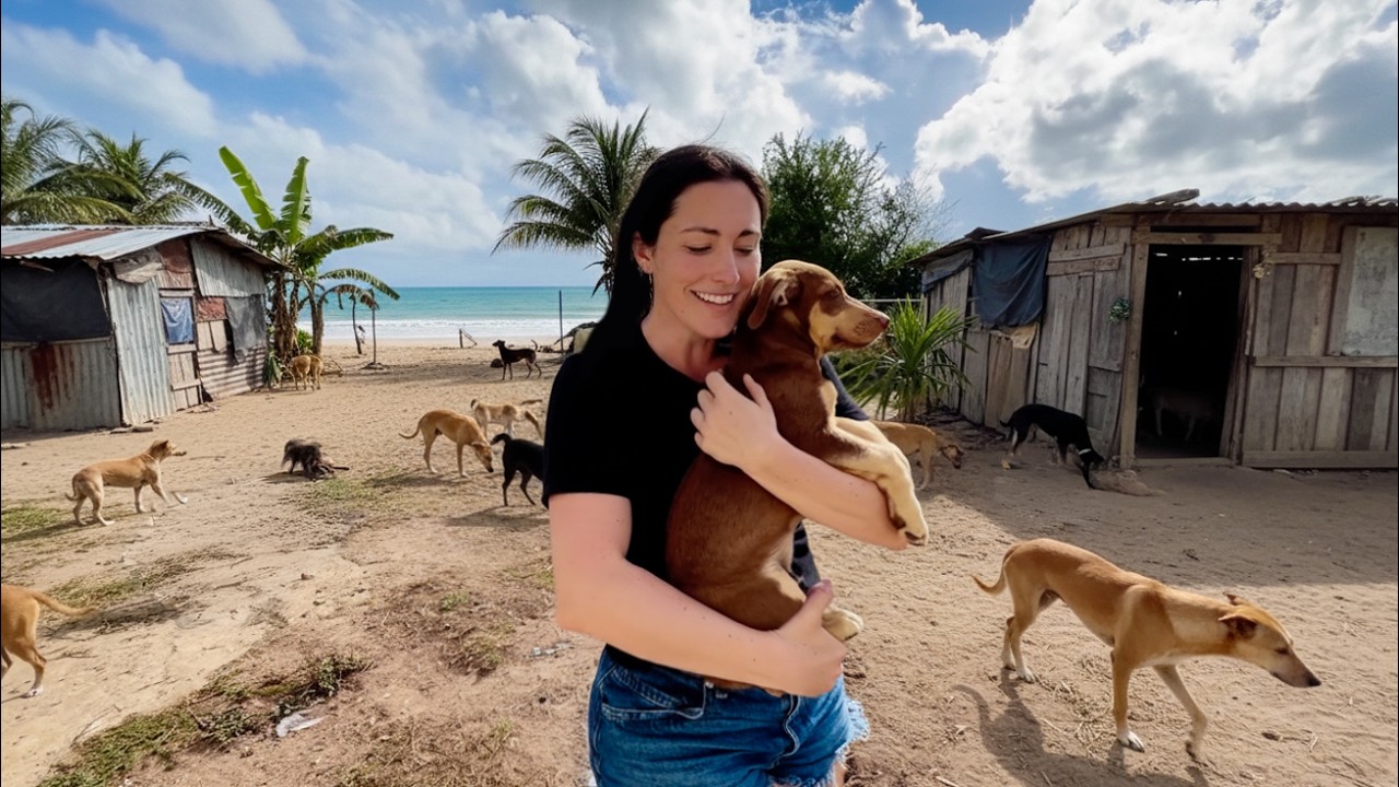 I traveled 5000 miles to save a dog (Puerto Rico rescue)
