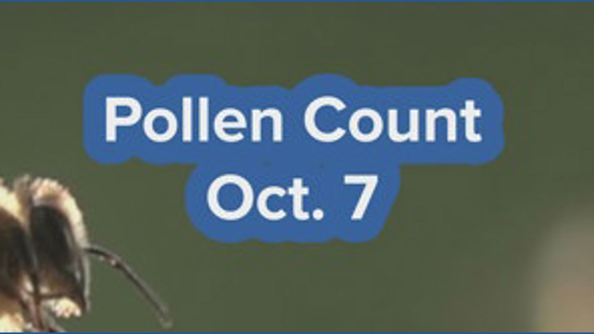 Pollen count Wednesday shows heavy on Fall elm