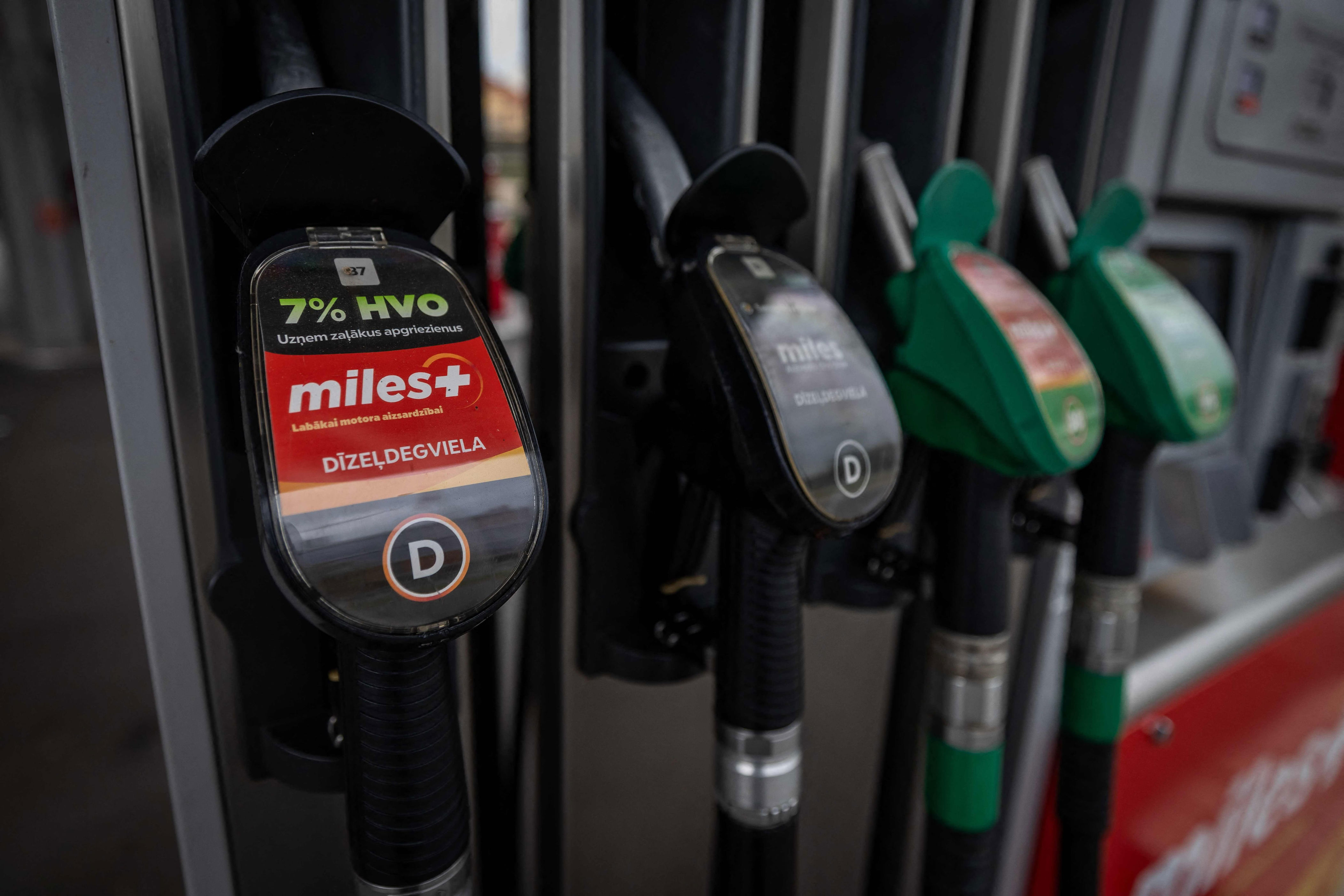 IEA members support faster release of reserve oil stocks