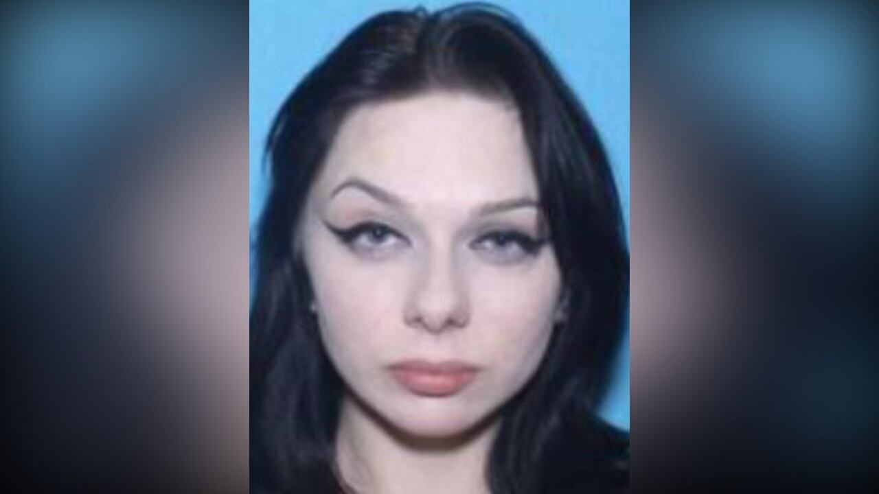 Huntersville police seek suspect in overnight stabbing