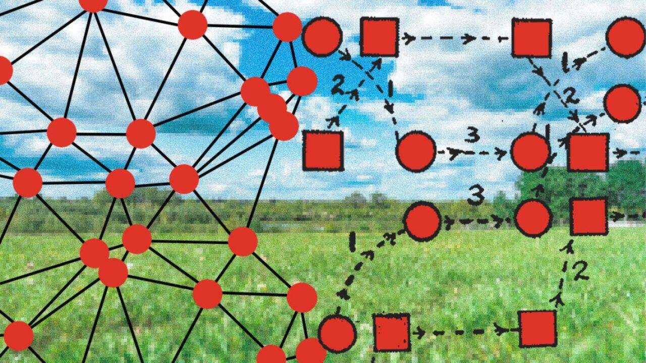 Tiny wireless device records animal brains in the wild, lighter than a dime
