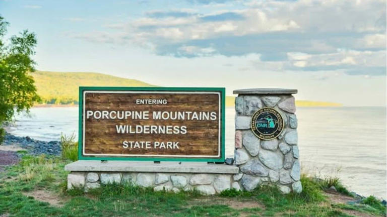 'No questions asked:' Officials ask for help finding missing Porcupine ...