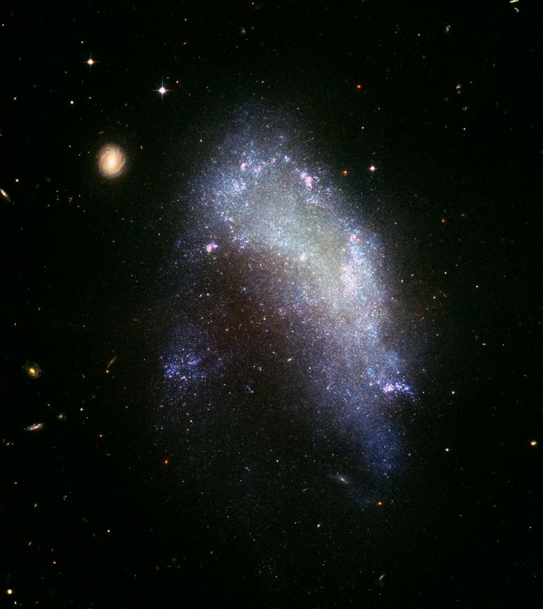7 titres d’actualités scientifiques auxquels vous auriez dû prêter ...