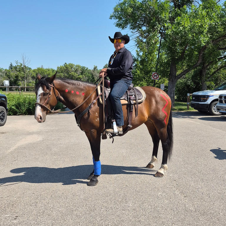 Former NHL player happy that horse-drawn vehicles set to be legal in ...