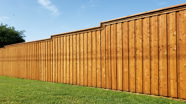 Mistakes everyone makes when buying a new fence