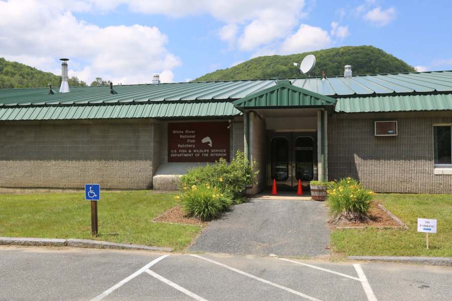Welch: Federal government plans to close White River fish hatchery