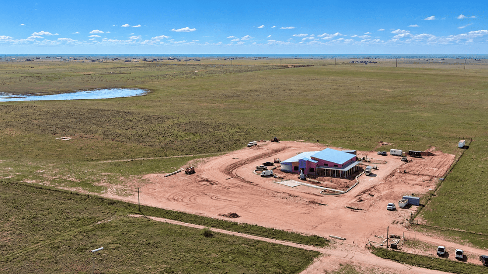 WT receives $9.75M USDA grant for cattle feedlot research facility