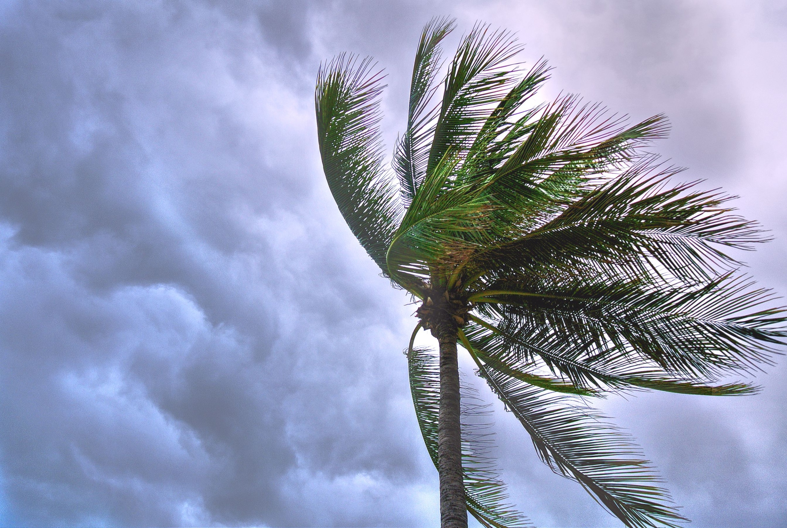 Pacific typhoon season logs storm in every month since January, rare ...