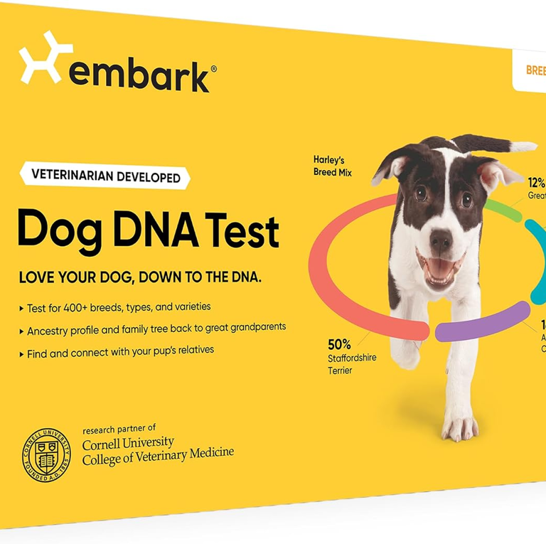 Prime Big Deal Days cuts up to 20% off Embark dog DNA tests