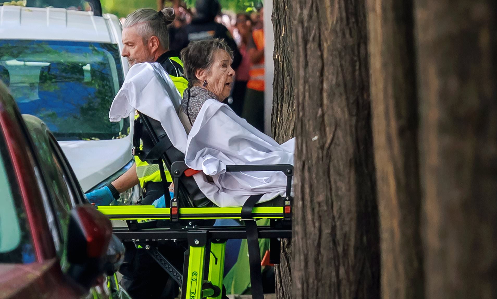 Disabled woman, 87, dies two weeks after forced eviction that sparked ...