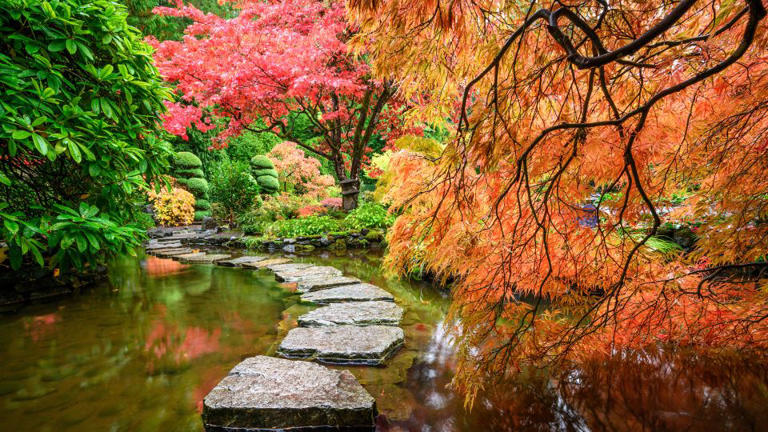 Tired of heat and storms? Visit these places to enjoy fall’s beauty