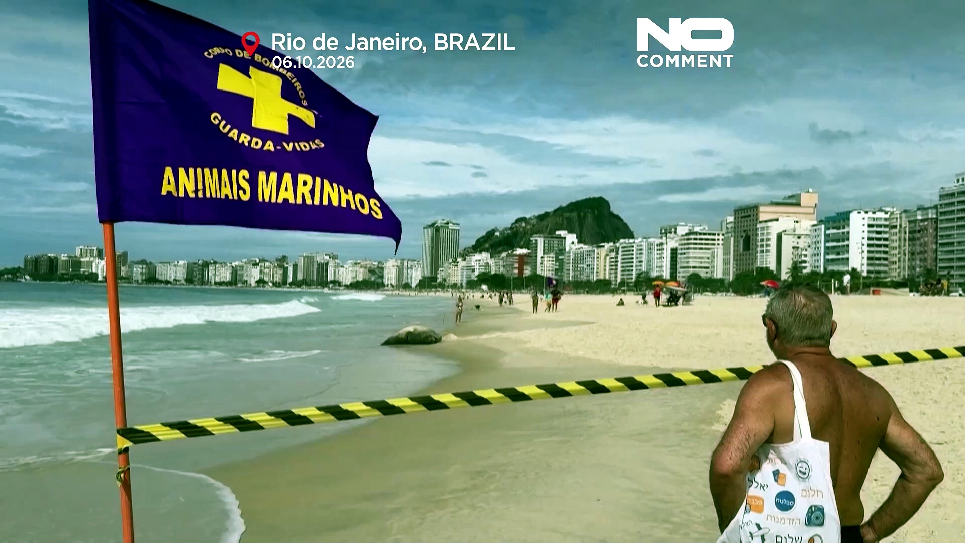 Unexpected beach guest: Elephant seal draws crowds in Rio