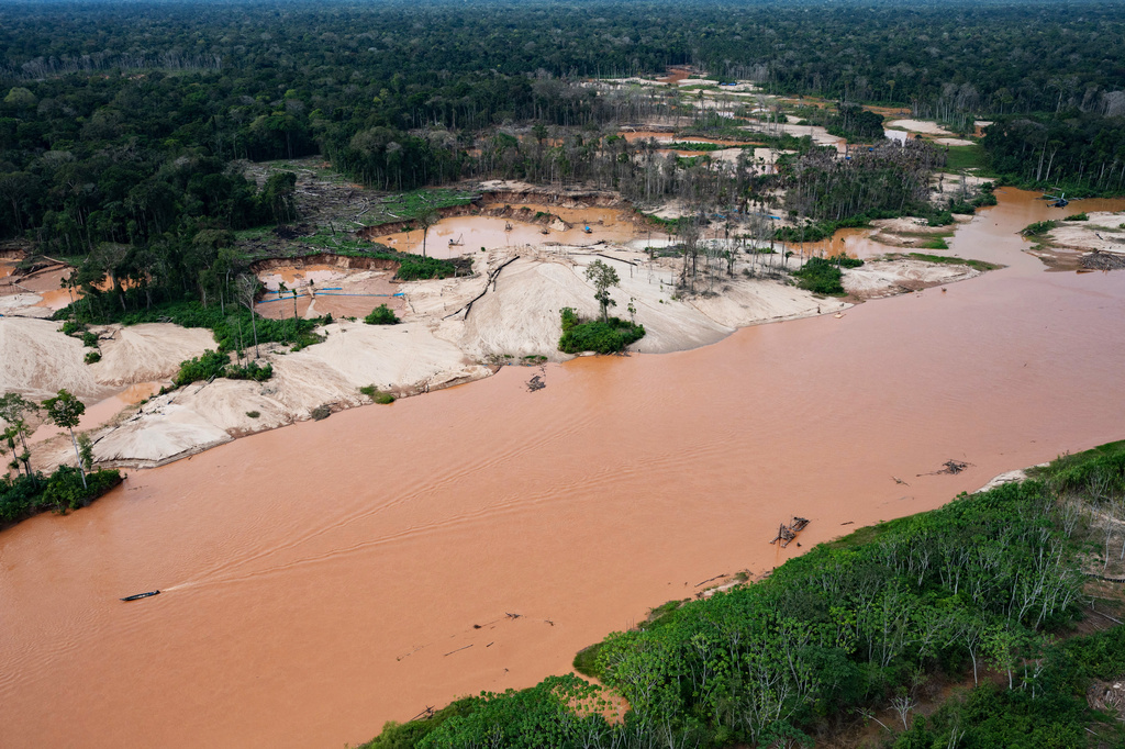 Interpol crackdown on illegal mining, logging and wildlife trafficking ...