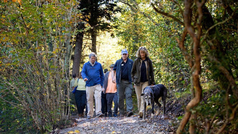 Graveyard Fields' Upper Falls connector trail completed on Blue Ridge ...