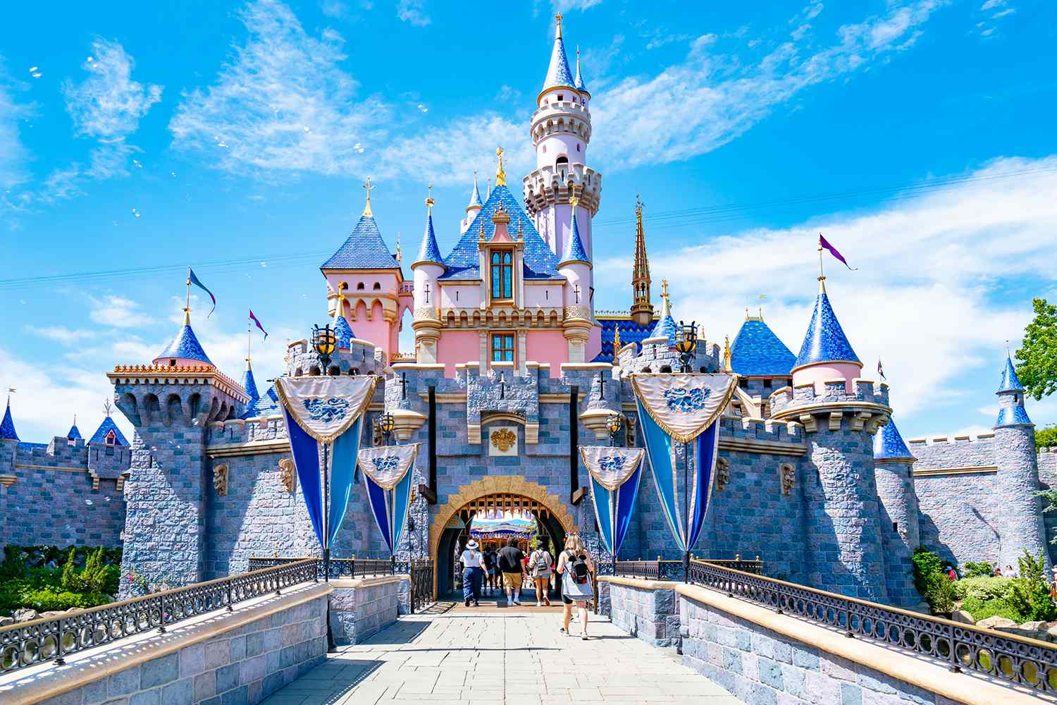 Disneyland makes a major change for Magic Key holders and promises more ...