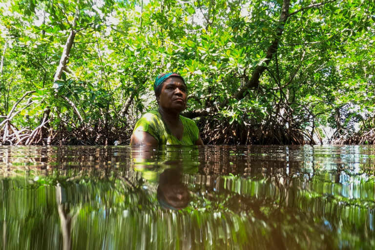 International pledge to fund forest rights exceeds target, but direct ...