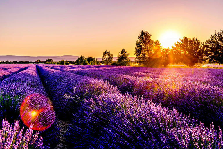 Top places to travel in 2026 according to global search trends