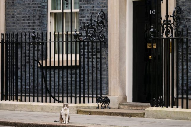 I worked for Jacob Rees-Mogg – it was hard dealing with a celebrity