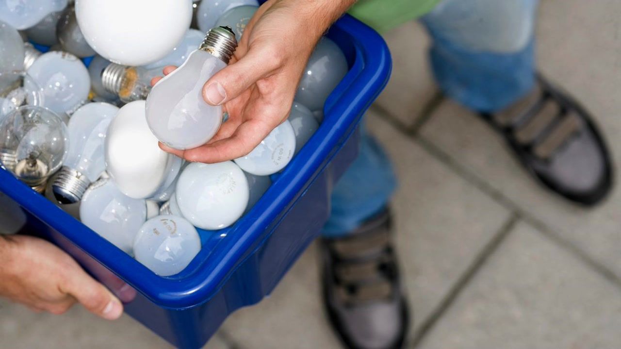 Binman explains if light bulbs should go in general waste or recycling bins